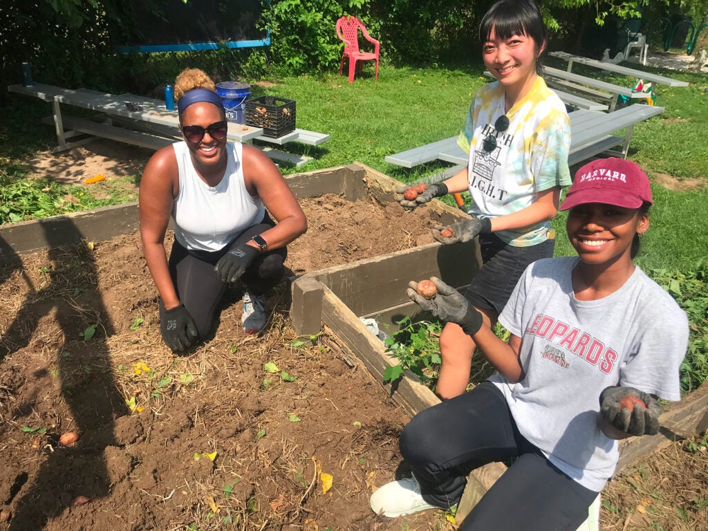 Group of people smiling while working on a garden